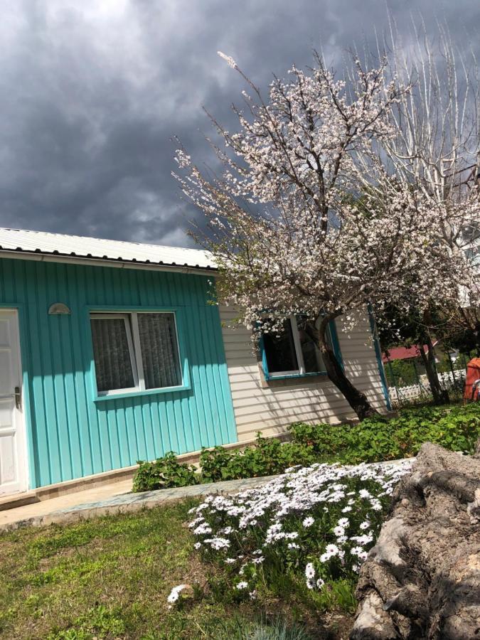 Marina Loft Kwatera prywatna Çıralı