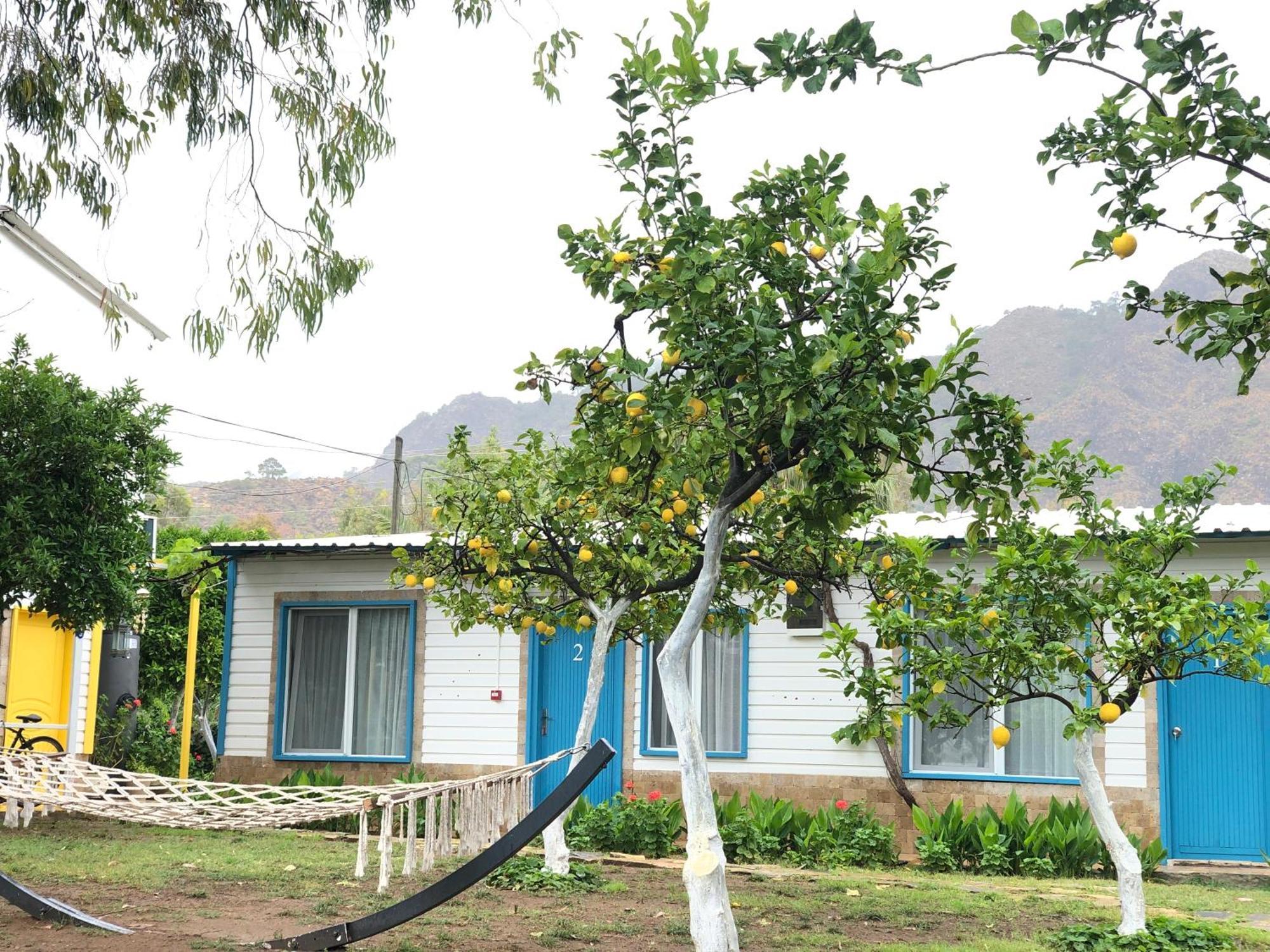 Marina Loft Homestay *